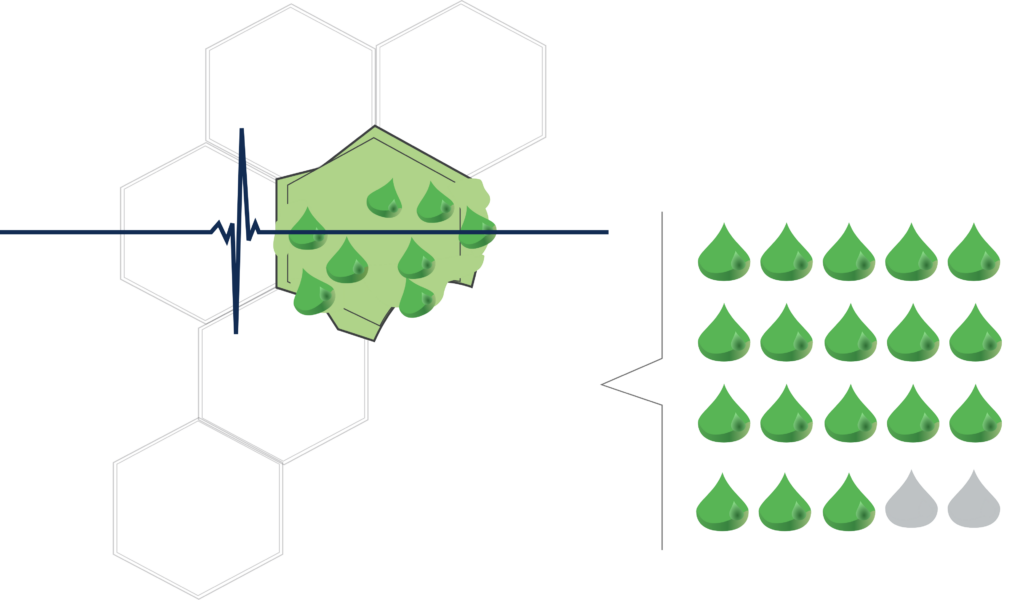 PEF (pulsed electric field) applied on olive cells