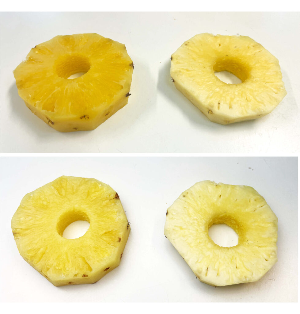 PEF and vacuum infusion treated pineapple slices